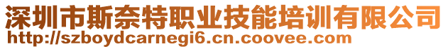 深圳市斯奈特職業(yè)技能培訓(xùn)有限公司