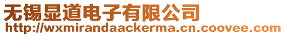 無錫顯道電子有限公司