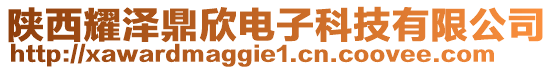 陜西耀澤鼎欣電子科技有限公司