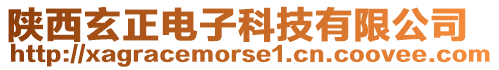 陜西玄正電子科技有限公司