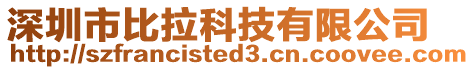 深圳市比拉科技有限公司