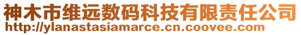 神木市維遠(yuǎn)數(shù)碼科技有限責(zé)任公司