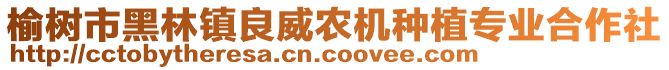 榆樹市黑林鎮(zhèn)良威農(nóng)機種植專業(yè)合作社