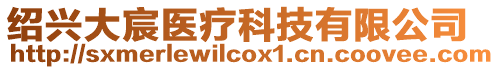 紹興大宸醫療科技有限公司