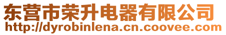 東營市榮升電器有限公司