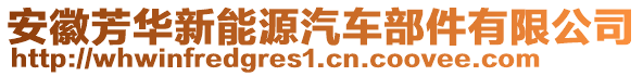 安徽芳華新能源汽車部件有限公司