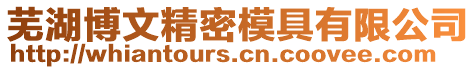 蕪湖博文精密模具有限公司