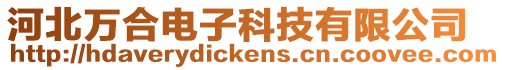 河北萬(wàn)合電子科技有限公司