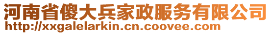 河南省傻大兵家政服務(wù)有限公司