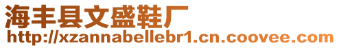 海豐縣文盛鞋廠