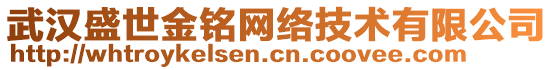 武漢盛世金銘網(wǎng)絡(luò)技術(shù)有限公司