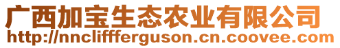 廣西加寶生態(tài)農(nóng)業(yè)有限公司