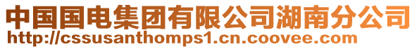 中國國電集團有限公司湖南分公司