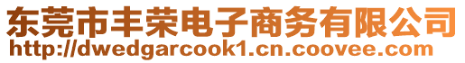 東莞市豐榮電子商務(wù)有限公司