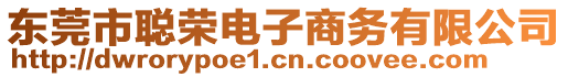 東莞市聰榮電子商務(wù)有限公司