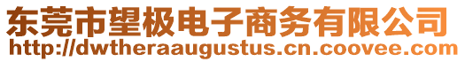 東莞市望極電子商務有限公司