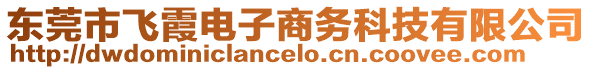 東莞市飛霞電子商務(wù)科技有限公司