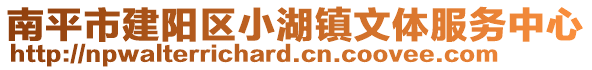 南平市建陽區(qū)小湖鎮(zhèn)文體服務(wù)中心