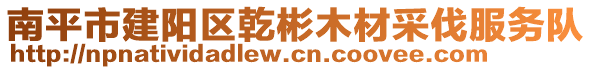 南平市建陽區乾彬木材采伐服務隊