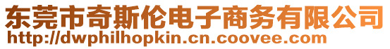 東莞市奇斯倫電子商務(wù)有限公司