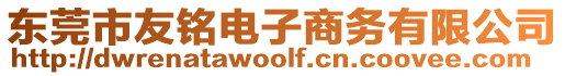 東莞市友銘電子商務有限公司