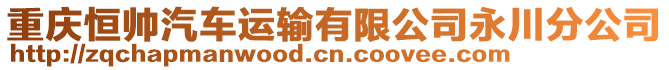 重慶恒帥汽車運(yùn)輸有限公司永川分公司