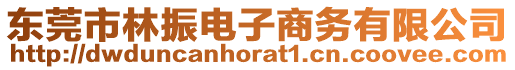 東莞市林振電子商務有限公司