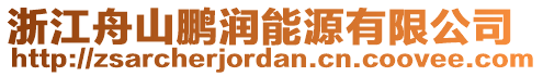 浙江舟山鵬潤能源有限公司