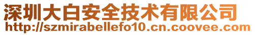 深圳大白安全技術有限公司