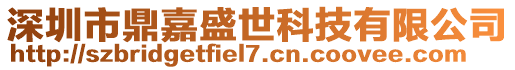 深圳市鼎嘉盛世科技有限公司