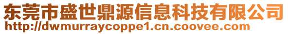 東莞市盛世鼎源信息科技有限公司