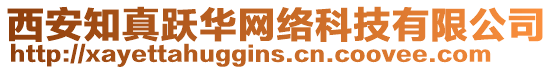 西安知真躍華網絡科技有限公司