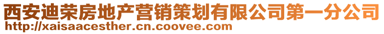 西安迪榮房地產營銷策劃有限公司第一分公司