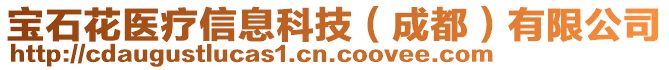 寶石花醫(yī)療信息科技（成都）有限公司