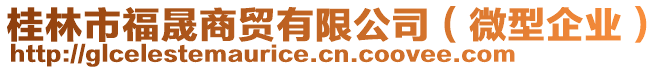 桂林市福晟商貿有限公司（微型企業）