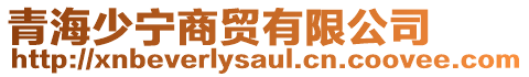 青海少寧商貿有限公司