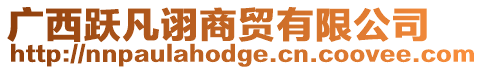 廣西躍凡詡商貿有限公司