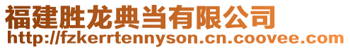 福建勝龍典當有限公司