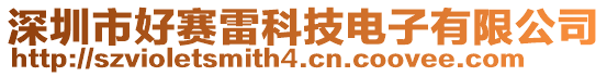深圳市好賽雷科技電子有限公司