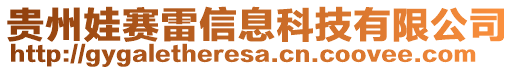 貴州娃賽雷信息科技有限公司