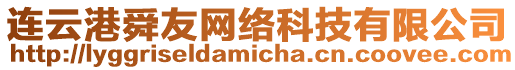 連云港舜友網絡科技有限公司