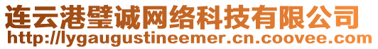 連云港璧誠網絡科技有限公司
