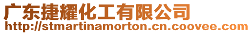 廣東捷耀化工有限公司