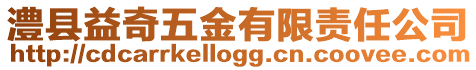 澧縣益奇五金有限責任公司
