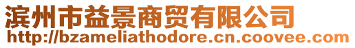 濱州市益景商貿有限公司