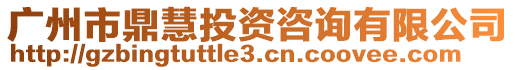 廣州市鼎慧投資咨詢有限公司