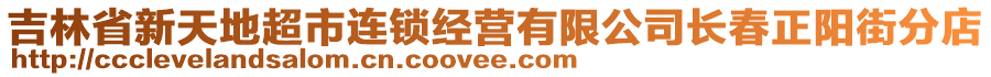 吉林省新天地超市連鎖經營有限公司長春正陽街分店