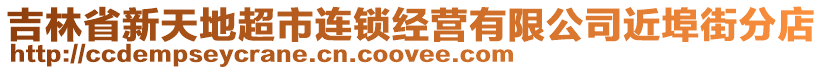 吉林省新天地超市連鎖經營有限公司近埠街分店