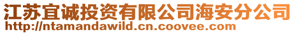 江蘇宜誠(chéng)投資有限公司海安分公司