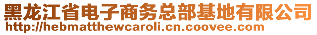 黑龍江省電子商務總部基地有限公司